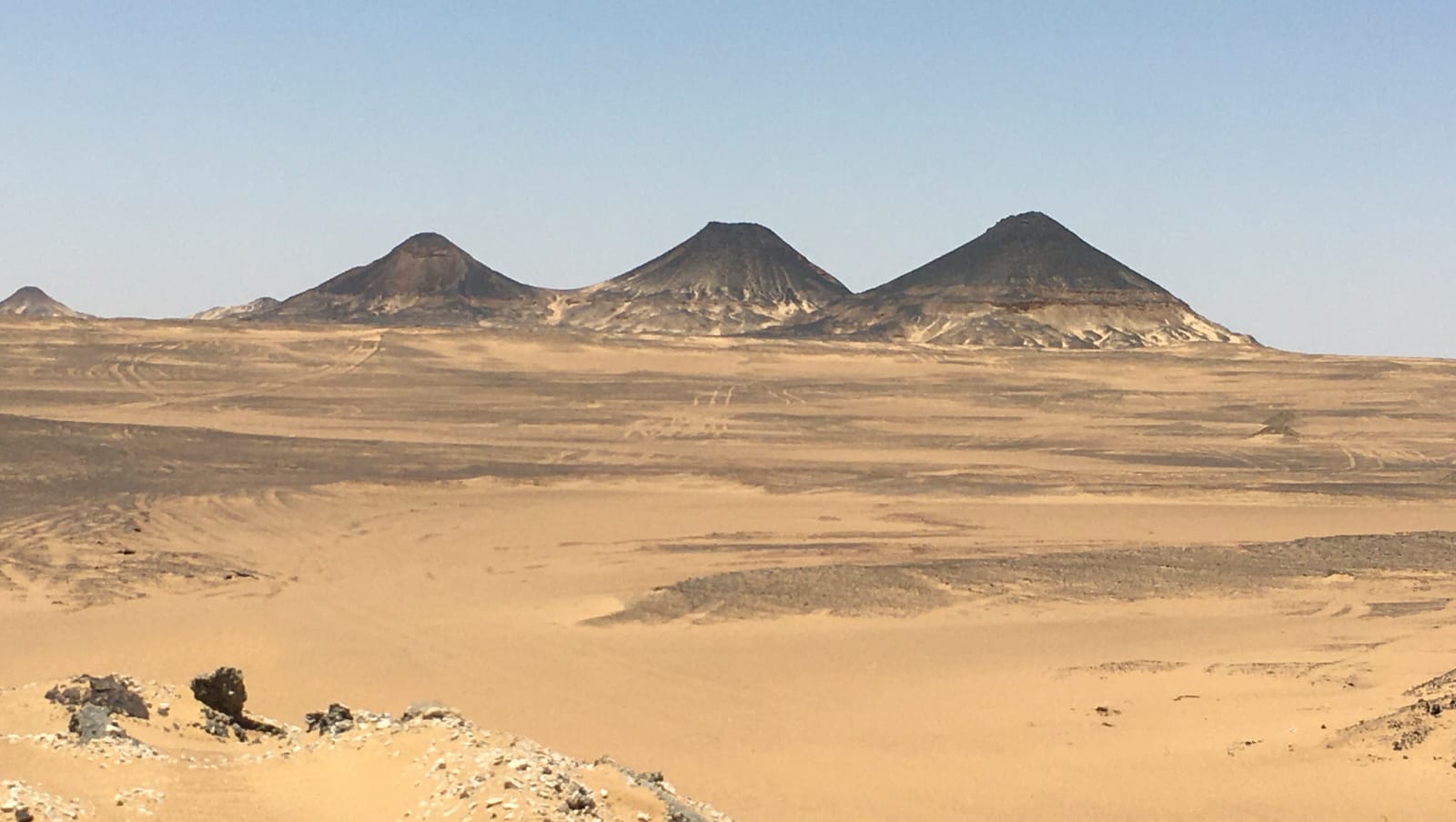 Escursione al wadi el Hitan valle delle balene da Port Said Escursione al wadi el Hitan valle delle balene da Port Said